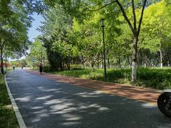 -大兴滨河森林公园