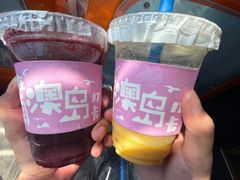 -南澳岛打卡果汁冰公司