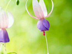 -中影星美国际影城(犀浦百伦店)