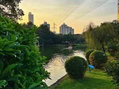 -晓港公园