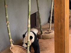 -云南野生动物园
