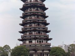 -洋湖国家湿地公园