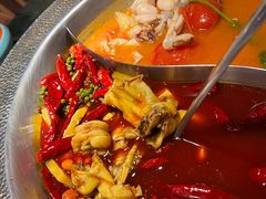 -麻田会 ·鲜活现烹·牛蛙火锅(珠江新城维家思广场店)