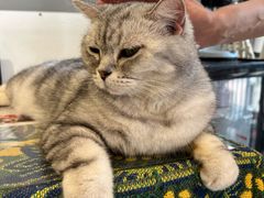 -平行世界·猫咖(首经贸店)