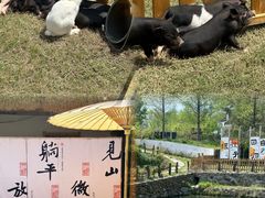 -加顺农场餐厅