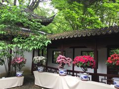 -汇龙潭