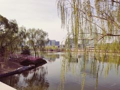 -大兴滨河森林公园