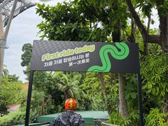-圣淘沙天际线斜坡滑车