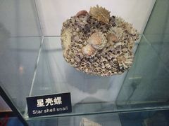 -泉城欧乐堡海洋极地世界