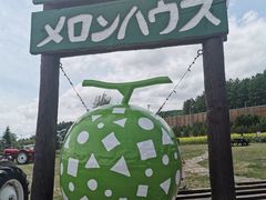 -富田农场