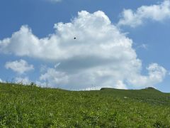 -灵山
