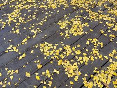 -狼山风景名胜区