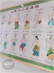 -紫琪尔·胸部养护护理