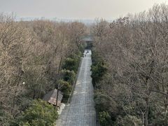 -灵谷景区
