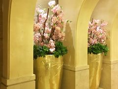 -碧涛阁·泡泡海洋·汤泉洗浴(王府花园店)