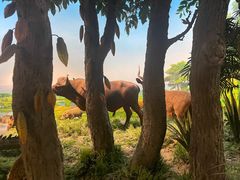 -国家自然博物馆