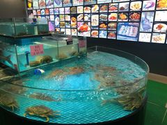 水产区-紫阳家宴(源深店)