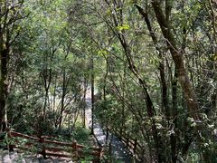 -广州白江湖森林公园