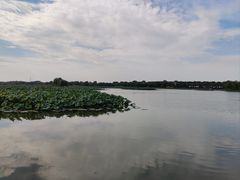 -白洋淀景区