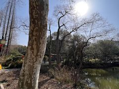 -上海醉白池公园