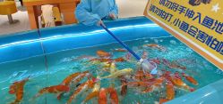 -乐多星球潮玩中心(沈阳嘉里城店)