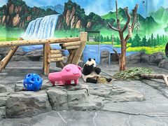 -秦皇岛野生动物园