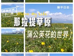 -新疆那拉提国家旅游度假区