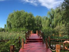 -燕郊植物园