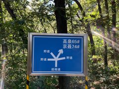 -阳台山自然风景区