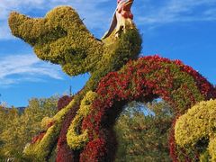 -国家植物园