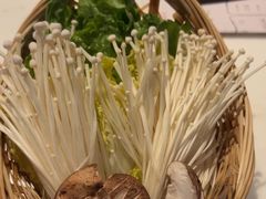 -同仁四季椰子鸡(福田东园总店)