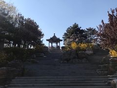 -大兴滨河森林公园