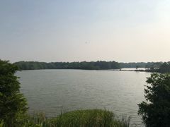 -大湾区中央湿地公园