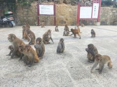 -重庆云阳龙缸景区