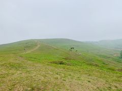 -恋山坝上草原