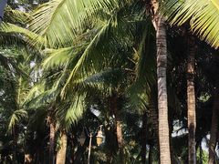 -深圳湾公园(南山区)