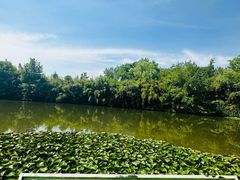 -西溪国家湿地公园