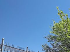 -大青山野生动物园