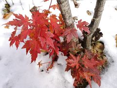 -丹东天桥沟景区