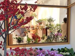 -溪岸路花鸟市场