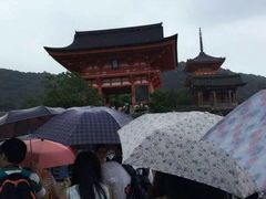 -有栖山 清光院 清水寺