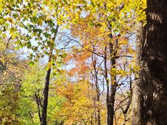 -三块石国家森林公园