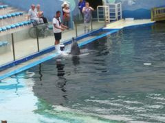 -北戴河圣蓝海洋公园