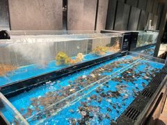 -Mr·Fish鱼鲜生海鲜放题(银泰in99店)