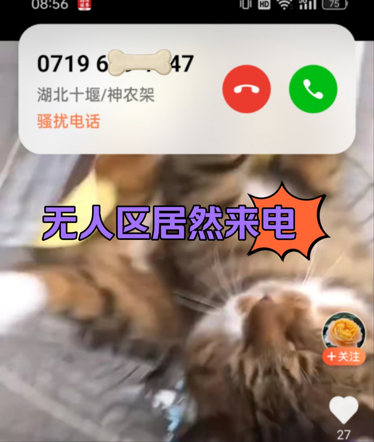 在线呼叫网页版=网络电话呼叫软件免费版