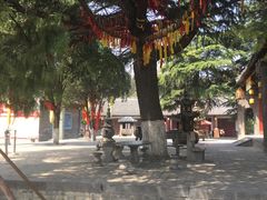-函谷关历史文化旅游区