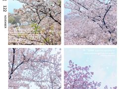 -苏州上方山国家森林公园