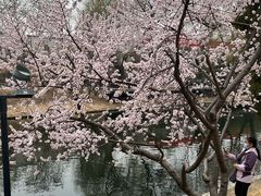 -安定门(地铁站)