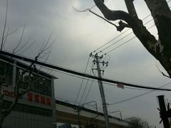 -漕溪路(地铁站)