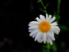 -欢乐迪KTV(重庆王府井店)